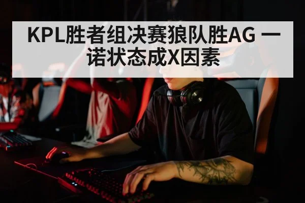 KPL胜者组决赛狼队胜AG 一诺状态成X因素